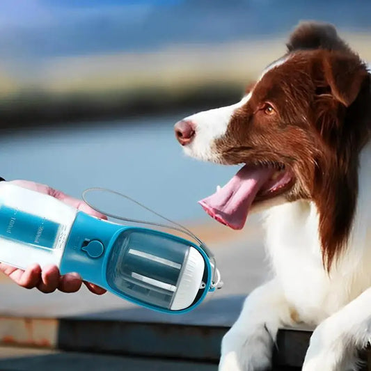 Trois-en-un pour chien :  Tasse d'eau, Sac à crottes, Gamelle croquette - Sky