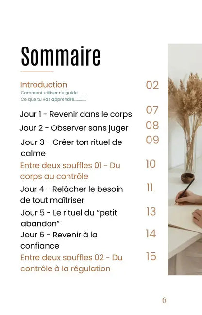 Programme 21 Jours Pour Lâcher Prise - NoStressClub NoStressClub.