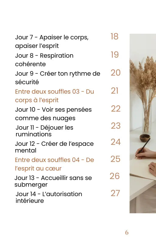 Programme 21 Jours Pour Lâcher Prise - NoStressClub NoStressClub.