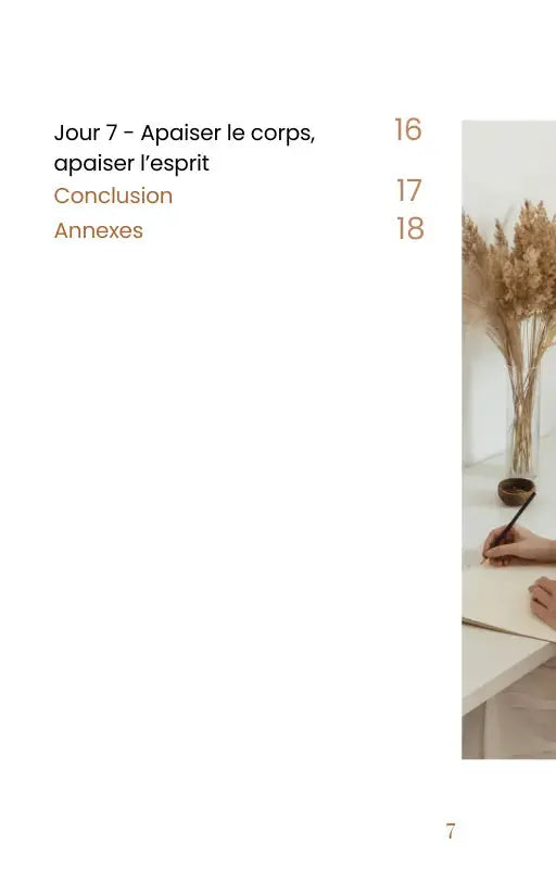 Programme 21 Jours Pour Lâcher Prise - NoStressClub NoStressClub.